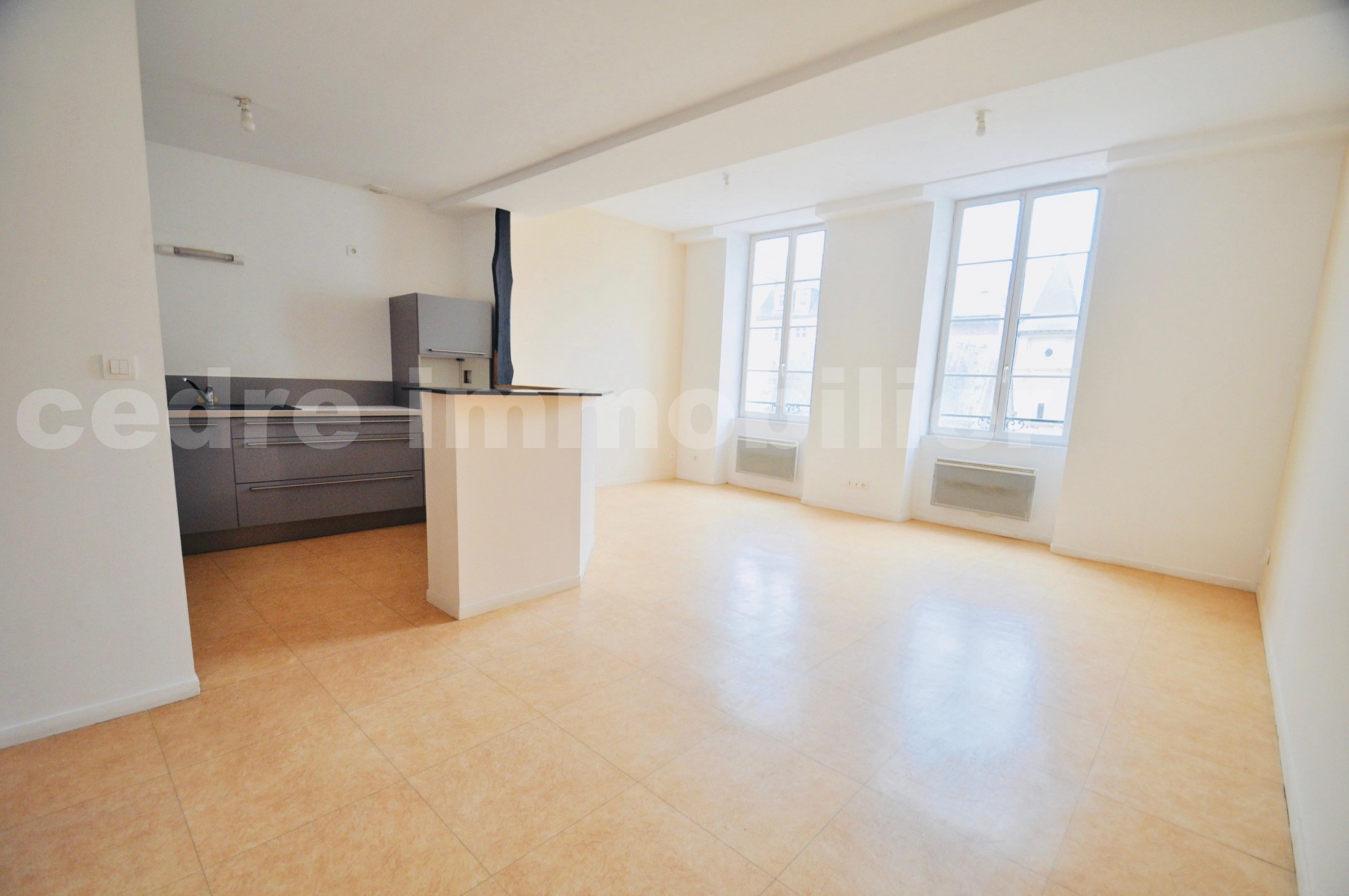 Appartement 2 Pièce(s) ORLEANS