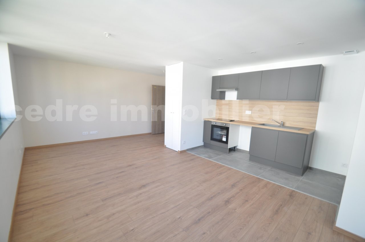 Appartement 2 Pièce(s) ORLEANS