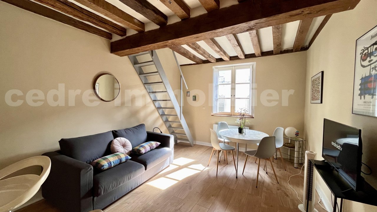 Loft 2 Pièce(s) ORLEANS